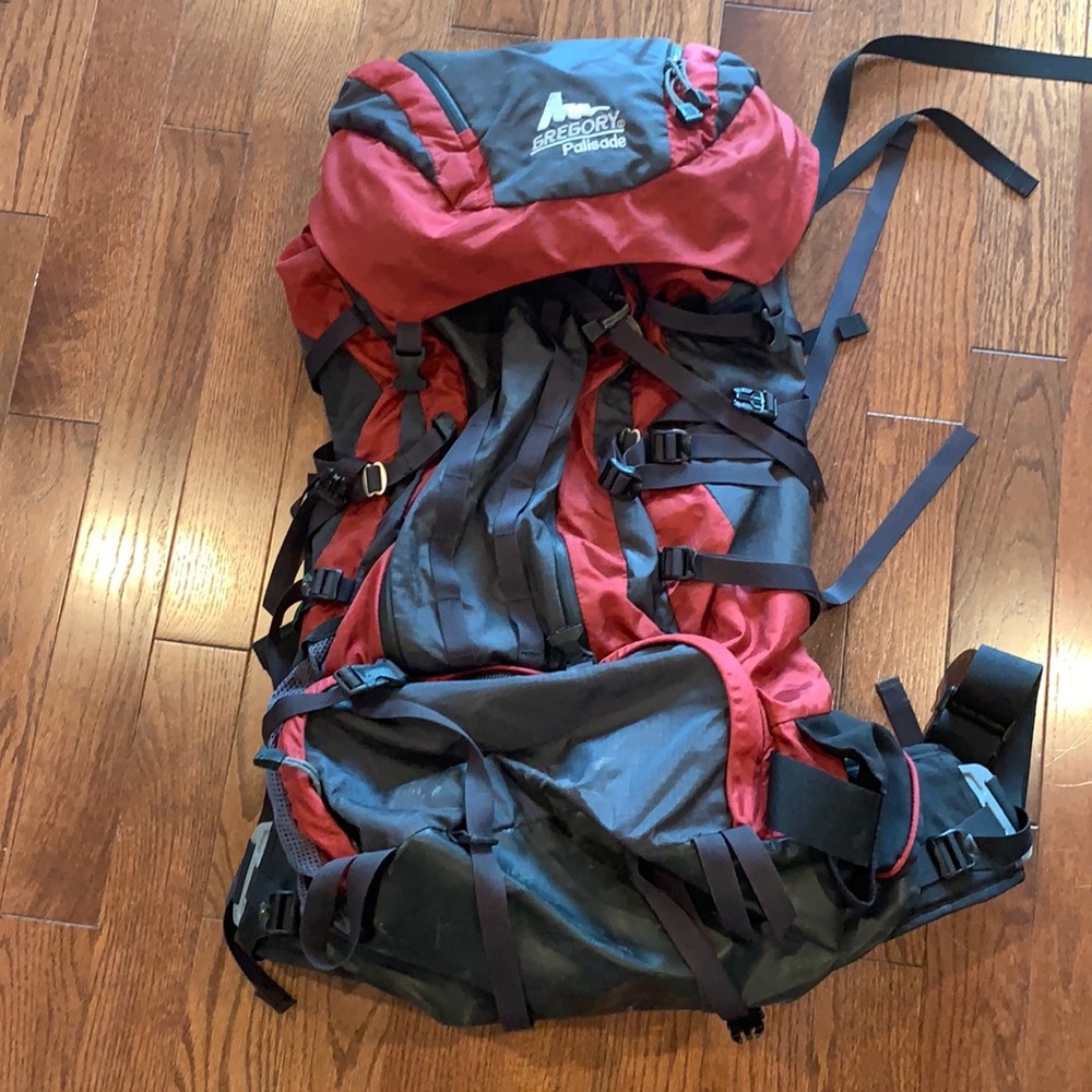 Gregory Red and Black Backpack